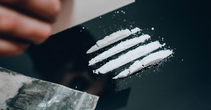 strisce di cocaina